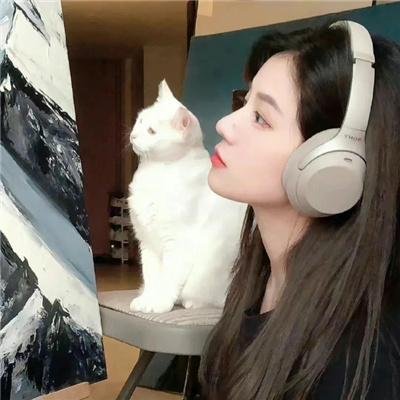 业内前五