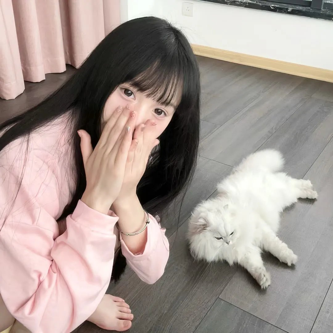 犬杀