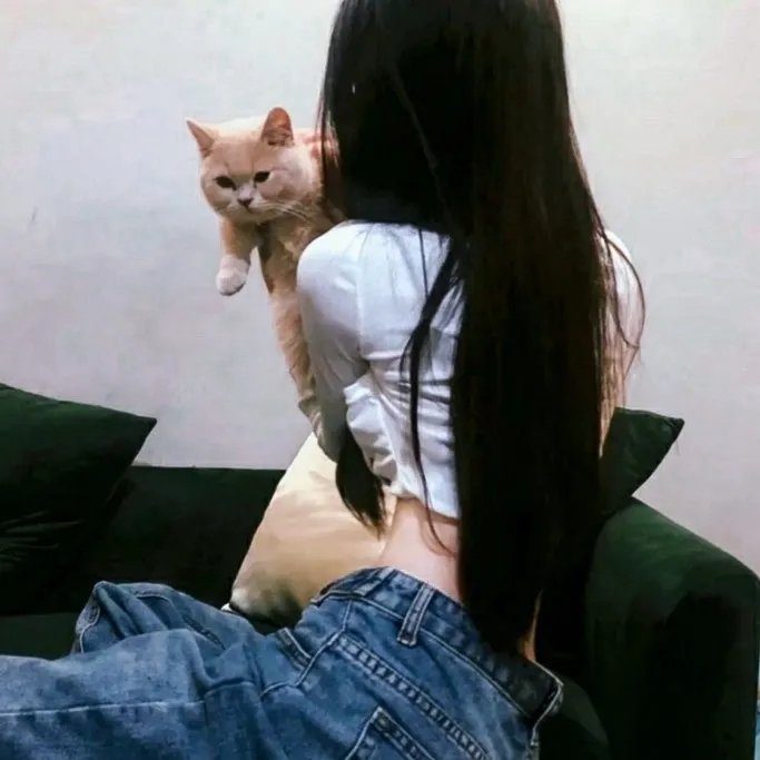 脂粉陷阱
